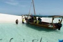 Safari Blue Sea Excursion